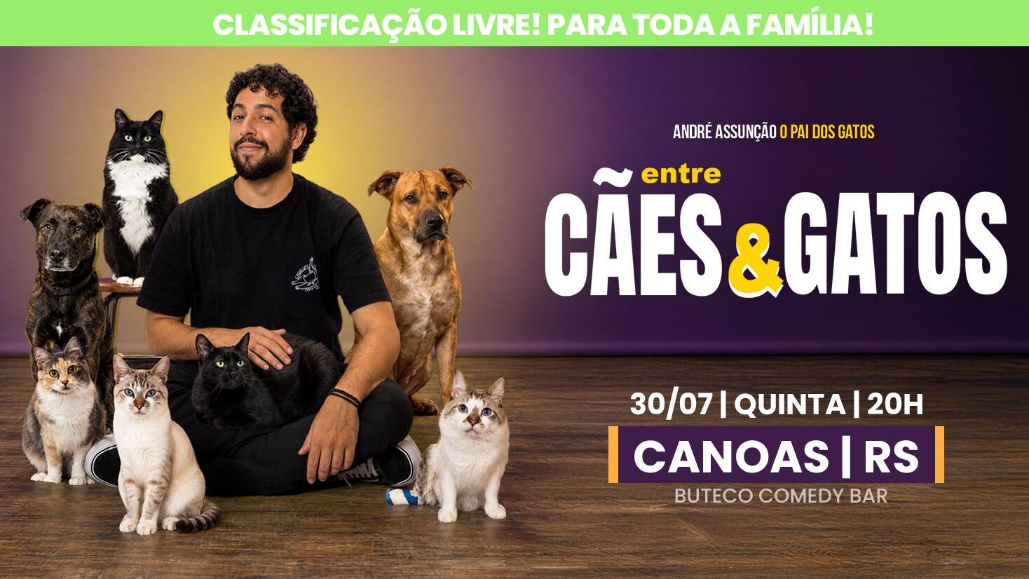 O PAI DOS GATOS - ENTRE CÃES E GATOS